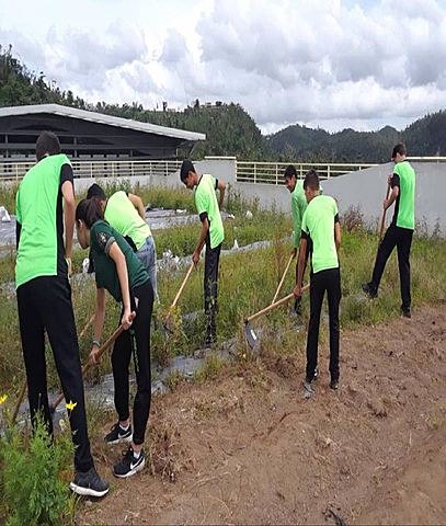 Escuelas vocacionales agricolas