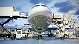 Timeline: TIME LINE INTERNATIONAL AIR TRANSPORTATION