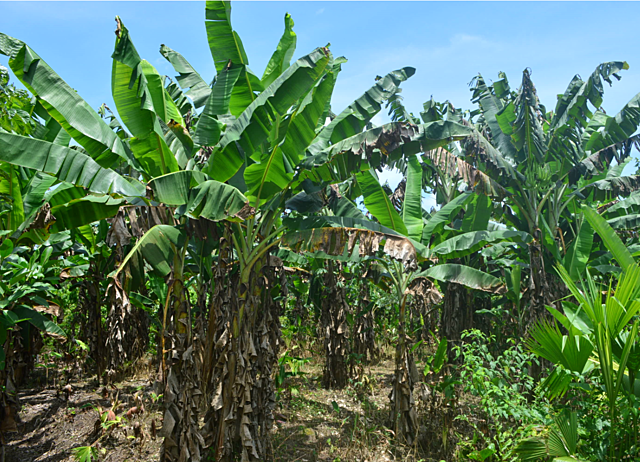 Equipo Zonas Focalizadas