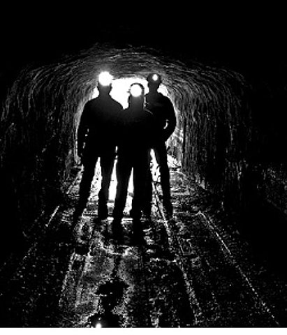 Agrícola y Paracelso