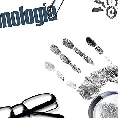 Timeline: Línea del tiempo Global