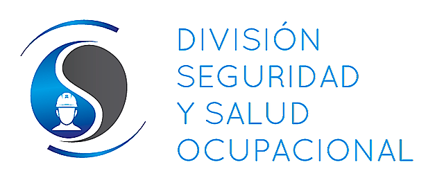 DIVISIÓN DE SALUD OCUPACIONAL