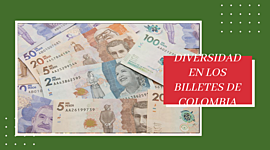 Timeline: Diversidad de Billetes de Colombia