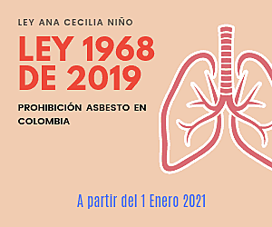LEY 1968 DE 2019 – PROHIBICIÓN DEL ASBESTO