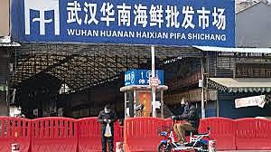 Cierran el mercado de mariscos de Wuhan