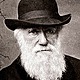 Charles darwin grande