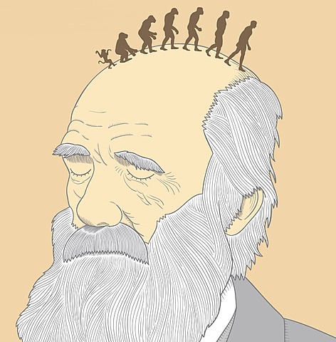 Teoría de la Evolución