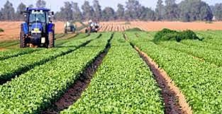 Programa de Inversiones Públicas para el Desarrollo Rural (PIDER)