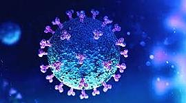 Timeline: Linea de tiempo del COVID-19