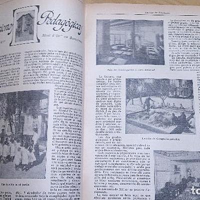 Timeline: Antecedentes de la psicoeducación