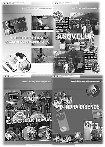 Apoyo a Unidades de Gestión Económica (AUGE)