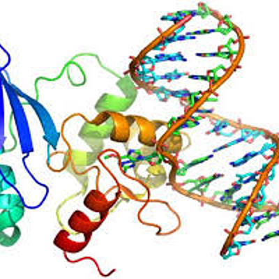 Timeline: Historia de los Ácidos Nucleicos (1869 al 1963)