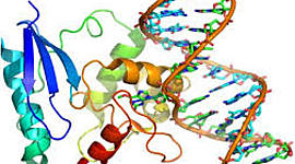 Timeline: Historia de los Ácidos Nucleicos (1869 al 1963)