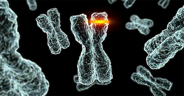 Mutaciones inducidas por rayos X