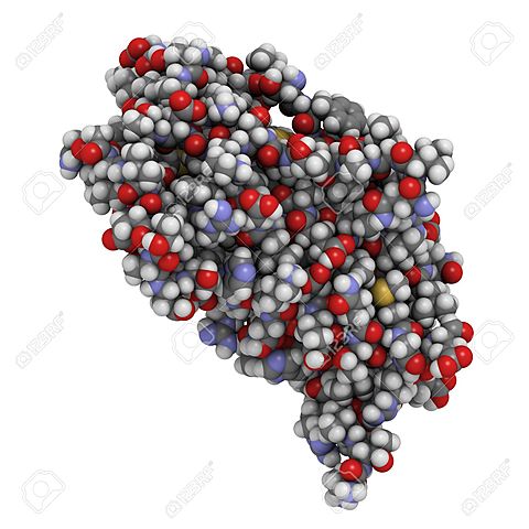 SOMATOTROPINA CORIÓNICA