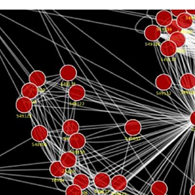 Timeline: Evolución del concepto de RED