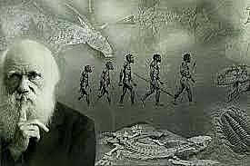 Las especies, evolucionan