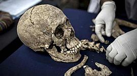 Timeline: Línea del Tiempo Fenómenos Postmortem