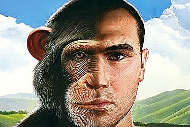 Fin del antropocentrismo