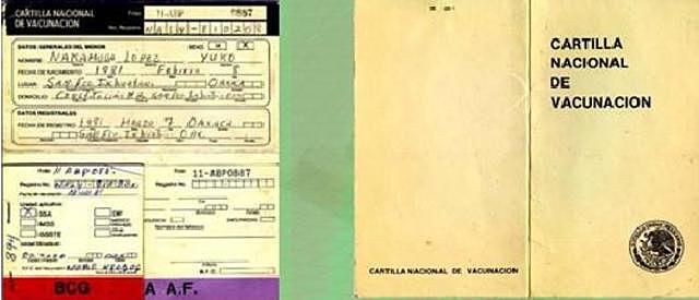 Se crea Cartilla Nacional de Vacunación (2)