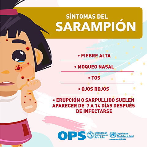 Brote de Sarampión (3)