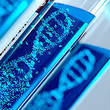 Sanger, Maxam y Gilbert publican metodos para secuenciar el ADN