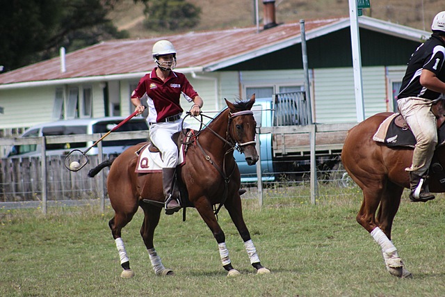 International polocrosse debut (Test Series v New Zealand