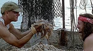 Incursiona en la pesca de camarones