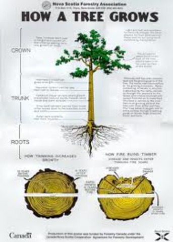 "That is the seed I will care for."     Page 189