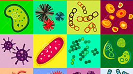 Timeline: MICROBIOLOGÍA.