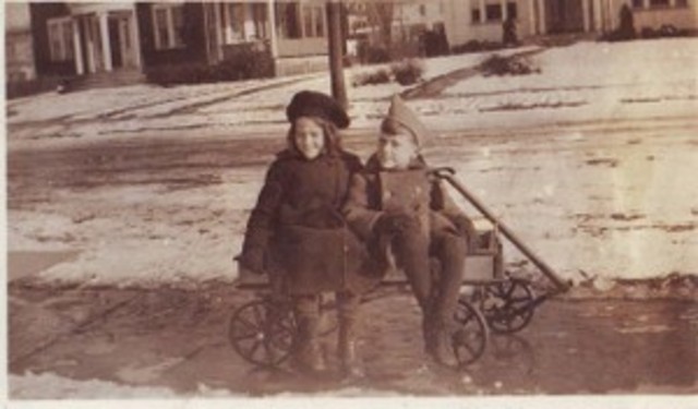 Adopt electric light