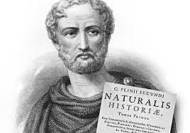 Plinio el viejo