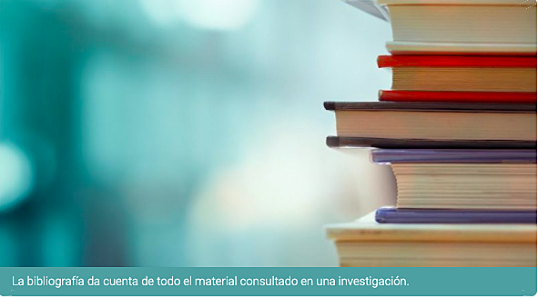 REFERENCIAS BIBLIOGRÁFICAS 2