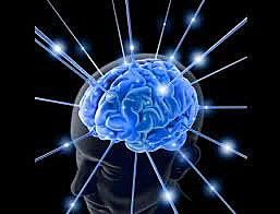 Fundamentos de psicología fisiológica