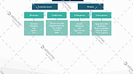 Timeline: Modelos atómicos