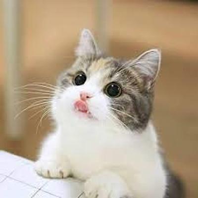 Timeline: historia de mexio