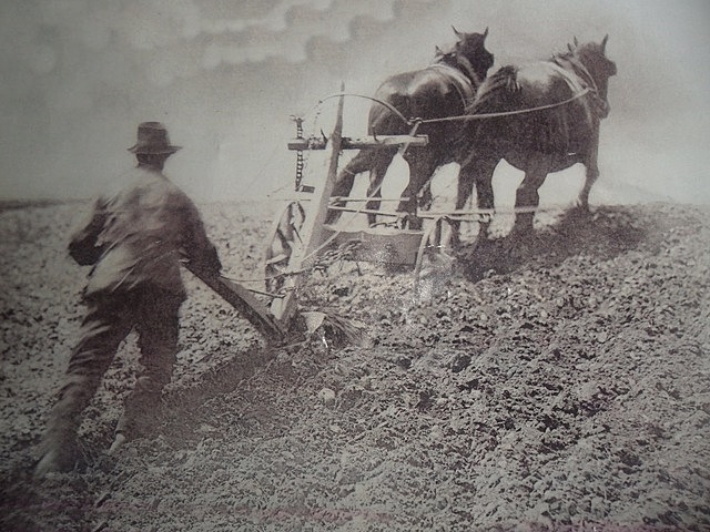 USO DEL CABALLO Y ARADO