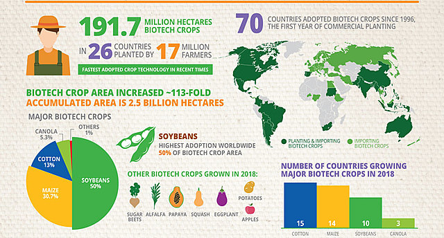 incremento de productividad