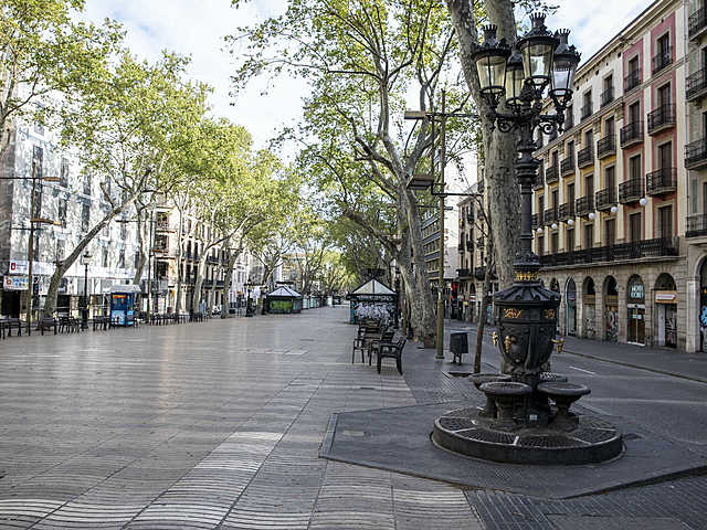 Confinament Covid19 (2020)