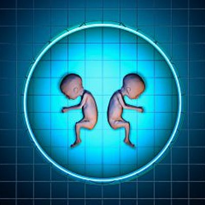 Timeline: Historia de la clonación