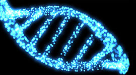 Timeline: Historia de la clonación