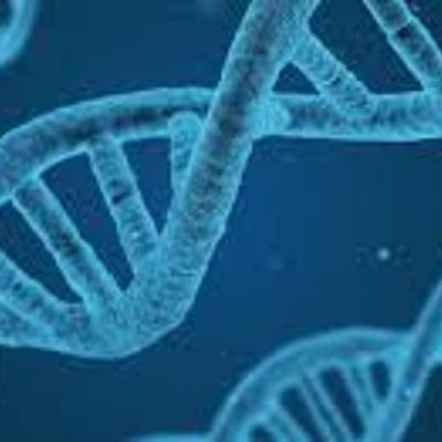 Timeline: HISTORIA DE LA CLONACION