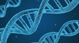 Timeline: HISTORIA DE LA CLONACION