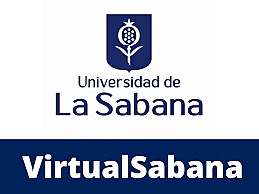 Cursos virutales.