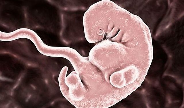 Anuncio público del mono clónico