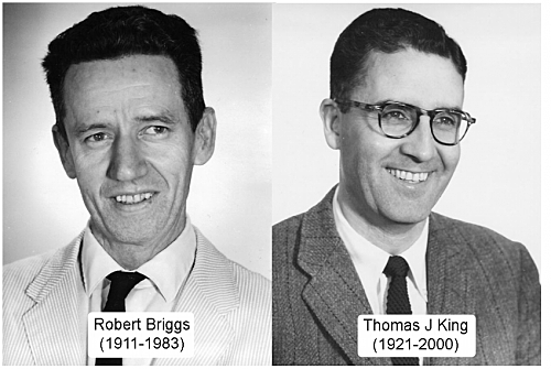 Robert Briggs y Thomas King