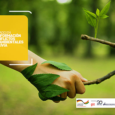 Timeline: Cronología del trabajo final