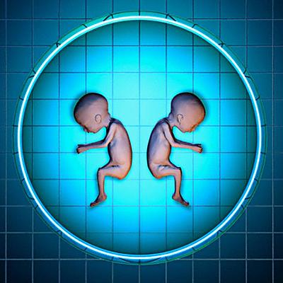 Timeline: Avance de la clonación a través del tiempo