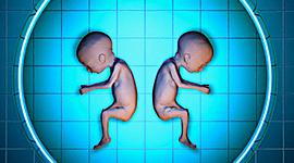 Timeline: Avance de la clonación a través del tiempo