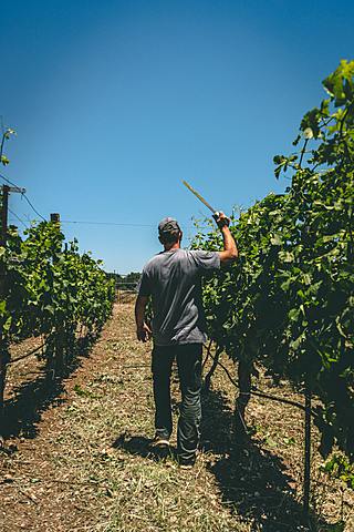 Bachillerato a distancia